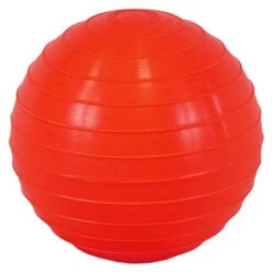 PVC Indoor Shot Put, 1kg
