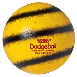 Volley Dodgeball