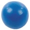 PVC Pilates Ball, 8" -Sports Store PB2806 1 B