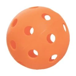 Onix Official Pickleball Indoor